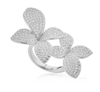 Anillo Mujer Anello In Argento in Plata Cristallo AN.FDF.8F-S
